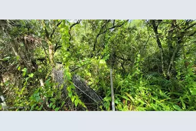 Unknown Woodland Hills Drive, Titusville, FL 32780 - Photo 10