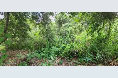 Unknown Woodland Hills Drive, Titusville, FL 32780 - Photo 8