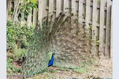 626 Beach Park Lane #V266, Cape Canaveral, FL 32920 - Photo 32