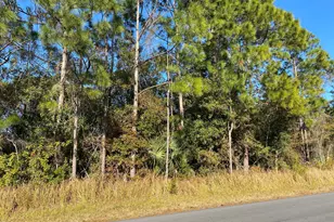 2195 Ramsdale Dr SE, Palm Bay, FL 32909 - Photo 1