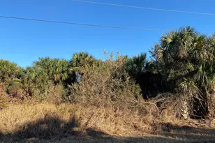 2189 Begonia Ave SW, Palm Bay, FL 32908 - Photo 1