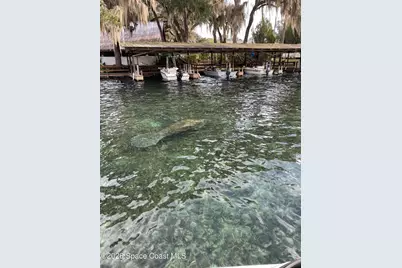 56304 Acorn Road, Astor, FL 32102 - Photo 38