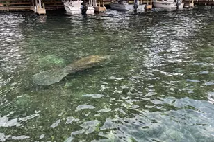 56304 Acorn Rd, Astor, FL 32102 - Photo 38