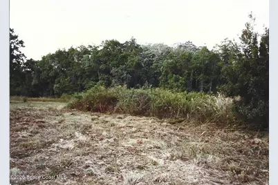 184 Guitar Drive, Sebring, FL 33870 - Photo 4