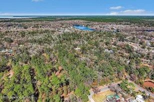 24421 Trespass Trail, Astor, FL 32102 - Photo 18