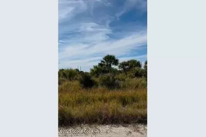 1225 Ludwig Street SW, Palm Bay, FL 32908 - Photo 1