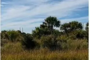 1225 Ludwig St SW, Palm Bay, FL 32908 - Photo 1