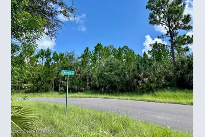 101 Lafleur Street SW, Palm Bay, FL 32908 - Photo 4