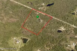9175 Freedom Rd, Mims, FL 32754 - Photo 28