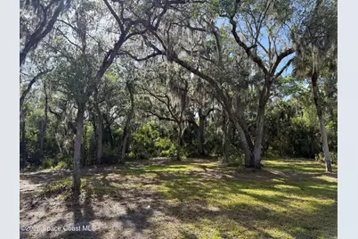 9175 Freedom Road, Mims, FL 32754 - Photo 34