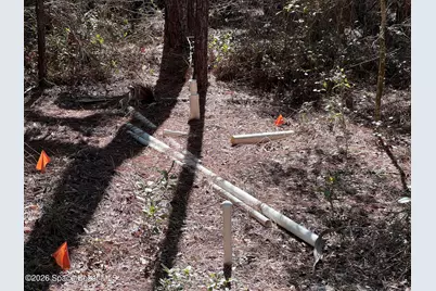 181 Lakeway Drive, Georgetown, FL 32139 - Photo 12