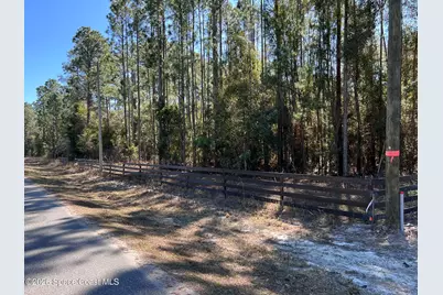 181 Lakeway Drive, Georgetown, FL 32139 - Photo 14