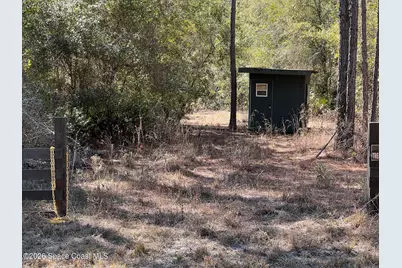 181 Lakeway Drive, Georgetown, FL 32139 - Photo 6