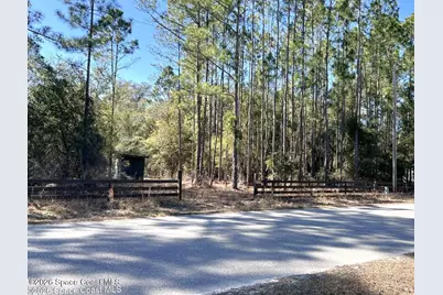 181 Lakeway Drive, Georgetown, FL 32139 - Photo 1