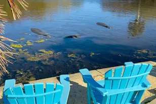 999 Sunswept Rd NE, Palm Bay, FL 32905 - Photo 18