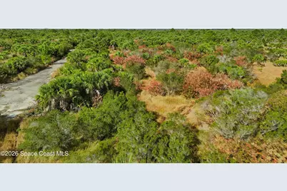 1005 Cartret Street SW, Palm Bay, FL 32908 - Photo 6