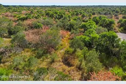 1005 Cartret Street SW, Palm Bay, FL 32908 - Photo 4