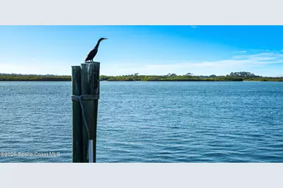 4828 S Peninsula Drive, Ponce Inlet, FL 32127 - Photo 98