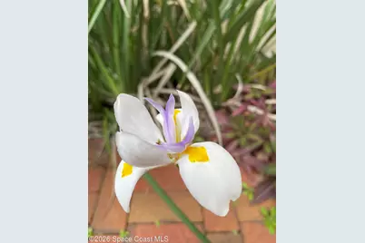 1624 S Daytona Avenue, Flagler Beach, FL 32136 - Photo 4