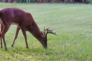 32801 US Hwy 441 Hwy N, Okeechobee, FL 34972 - Photo 62