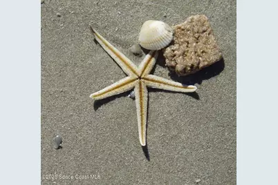 586 N Wickham Road #63, Melbourne, FL 32935 - Photo 66