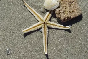 586 N Wickham Rd, Melbourne, FL 32935 - Photo 66