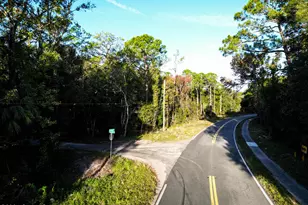 0000 Hammock Trail, Mims, FL 32754 - Photo 1