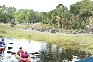 7667 N Wickham Rd, Melbourne, FL 32940 - Photo 30