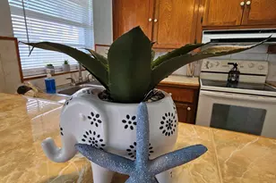 135 Roosevelt Ave, Cocoa Beach, FL 32931 - Photo 10