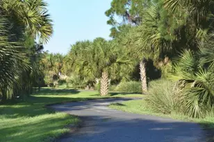 975 Shiloh Dr, Melbourne, FL 32940 - Photo 56