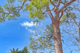 4205 Grovewood Ln, Titusville, FL 32780 - Photo 36