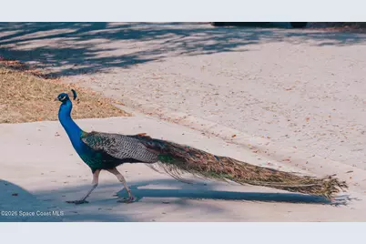 211 Circle Drive #27c, Cape Canaveral, FL 32920 - Photo 16