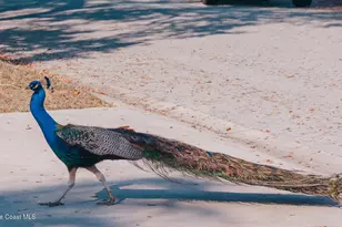 211 Circle Dr, Cape Canaveral, FL 32920 - Photo 16