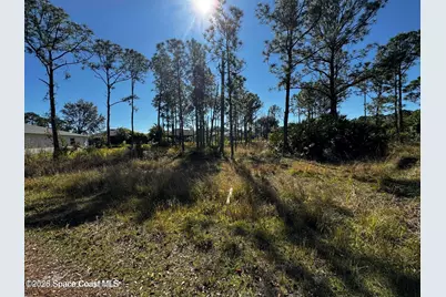 2497 Palmarita Street SE, Palm Bay, FL 32909 - Photo 6