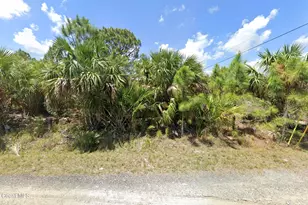 3262 Pomello Ave SW, Palm Bay, FL 32908 - Photo 1