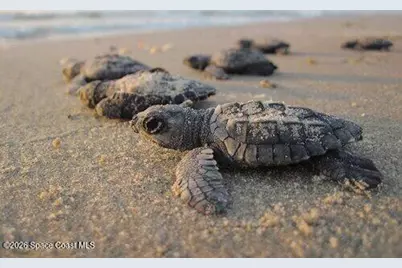 2600 Revolution Street #105, Melbourne, FL 32935 - Photo 38