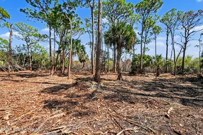 Tbd Via Roma, Merritt Island, FL 32952 - Photo 20