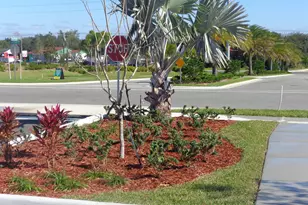 411 Cougar St, Cocoa, FL 32927 - Photo 52