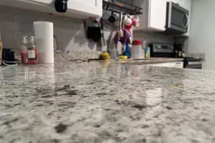 624 Church St, Melbourne, FL 32904 - Photo 4