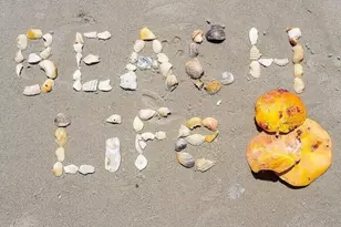 544 Beach Park Ln, Cape Canaveral, FL 32920 - Photo 44