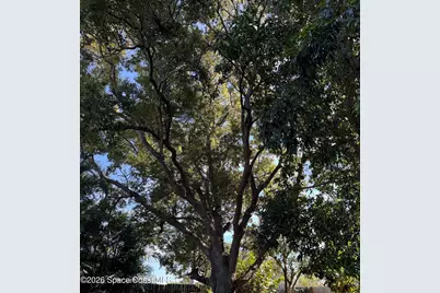 1165 Aron Street, Cocoa, FL 32927 - Photo 90