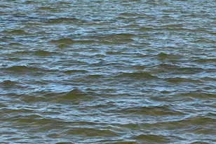 190 E Olmstead Dr, Titusville, FL 32780 - Photo 26