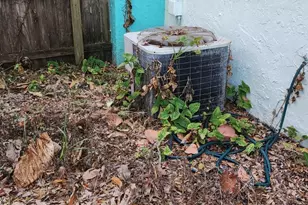 1531 S Orlando Ave, Cocoa Beach, FL 32931 - Photo 18