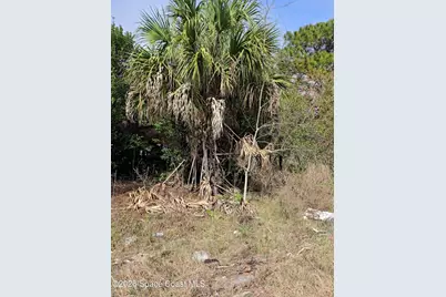 330 Iris Street, Cocoa, FL 32927 - Photo 4