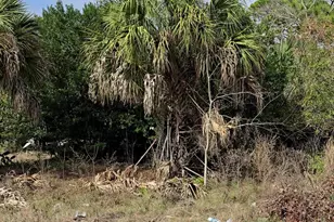 330 Iris St, Cocoa, FL 32927 - Photo 1