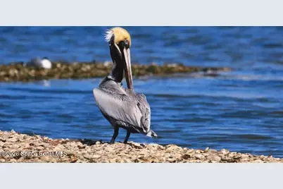 8746 103rd Avenue, Vero Beach, FL 32967 - Photo 22