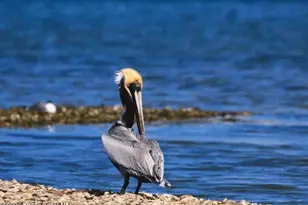 8746 103rd Ave, Vero Beach, FL 32967 - Photo 22