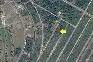 0 Fort Myers Rd, Indian Lake Estates, FL 33855 - Photo 4