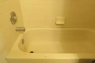 419 Windswept Ave SW, Palm Bay, FL 32908 - Photo 16