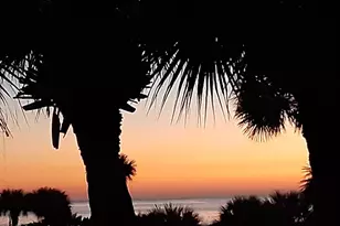 8600 Ridgewood Ave, Cape Canaveral, FL 32920 - Photo 18